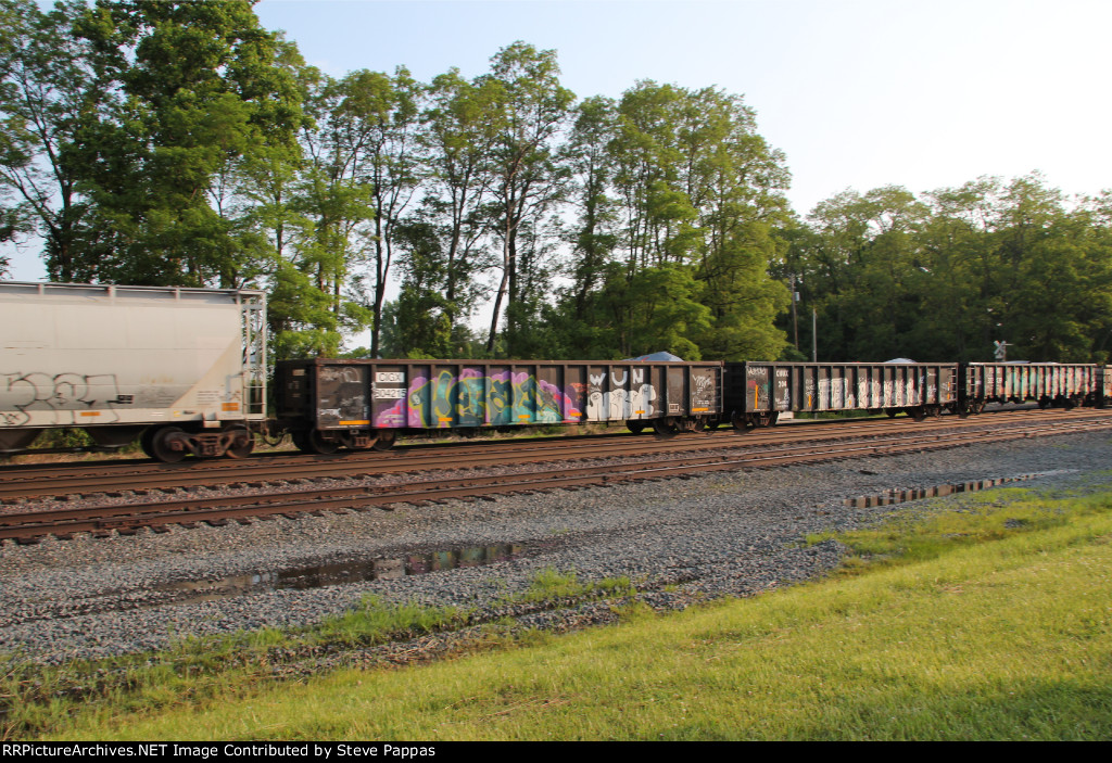 CIGX 804215